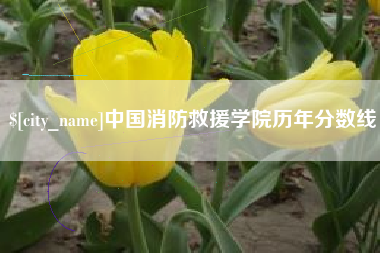 如东中国消防救援学院历年分数线