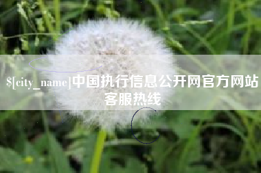 如东中国执行信息公开网官方网站客服热线