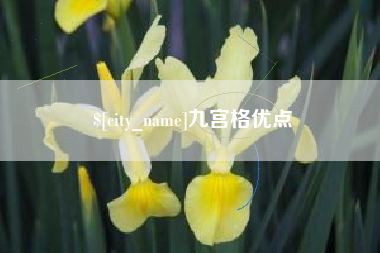 如东九宫格优点