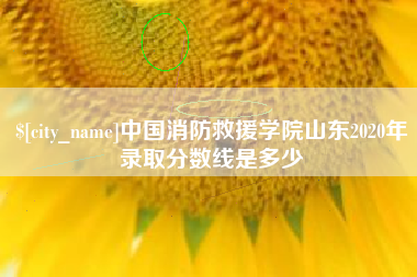 如东中国消防救援学院山东2020年录取分数线是多少