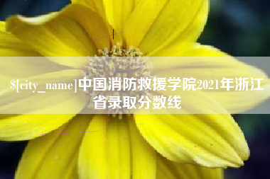 如东中国消防救援学院2021年浙江省录取分数线