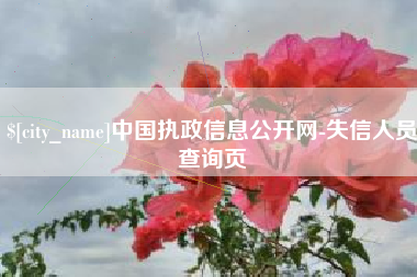 如东中国执政信息公开网-失信人员查询页