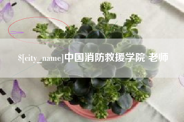 如东中国消防救援学院 老师