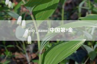 如东中国第9金