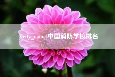 如东中国消防学校排名