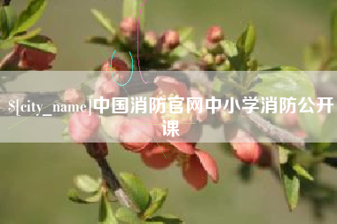 如东中国消防官网中小学消防公开课