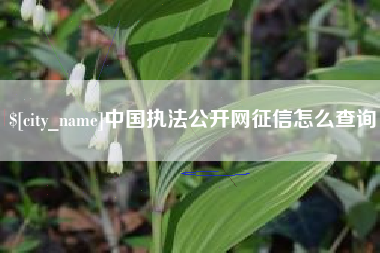 如东中国执法公开网征信怎么查询