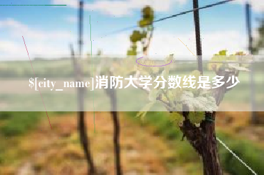 如东消防大学分数线是多少