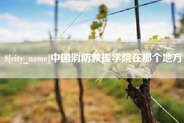 如东中国消防救援学院在那个地方