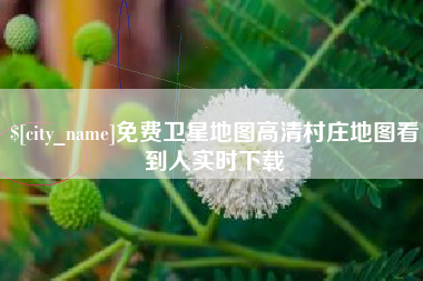 如东免费卫星地图高清村庄地图看到人实时下载