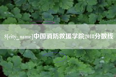 如东中国消防救援学院2018分数线