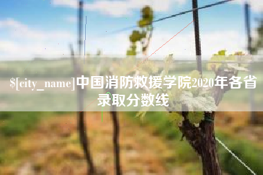 如东中国消防救援学院2020年各省录取分数线