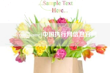如东中国执行网信息官网