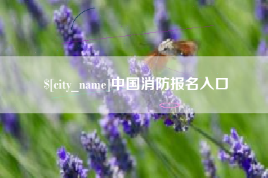 如东中国消防报名入口