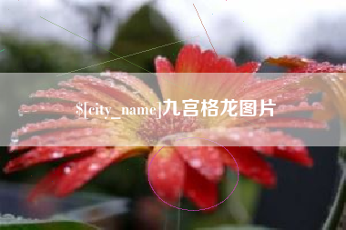 如东九宫格龙图片