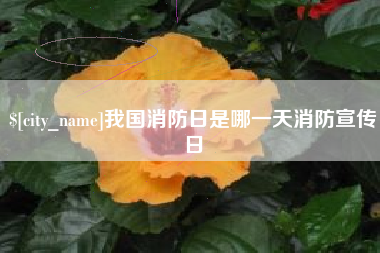 如东我国消防日是哪一天消防宣传日
