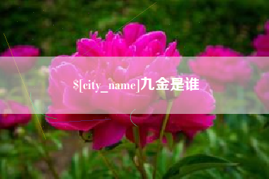 如东九金是谁