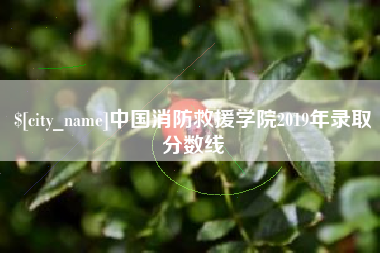 如东中国消防救援学院2019年录取分数线