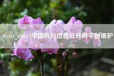 如东中国执行信息公开网平台维护