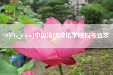 如东中国消防救援学院报考要求