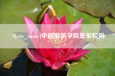 如东中国消防学院是军校吗