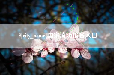 如东国家消防报名入口