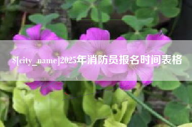如东2025年消防员报名时间表格