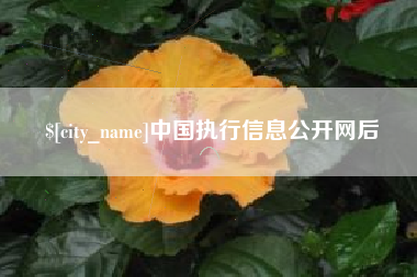 如东中国执行信息公开网后