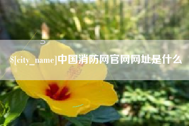 如东中国消防网官网网址是什么