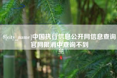 如东中国执行信息公开网信息查询官网限消中查询不到