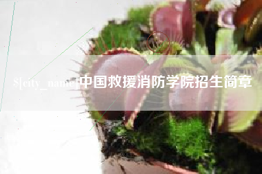 如东中国救援消防学院招生简章