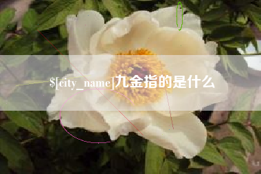 如东九金指的是什么
