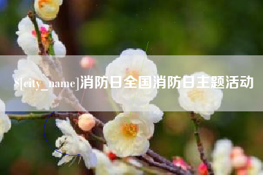 如东消防日全国消防日主题活动