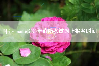 如东2020年消防考试网上报名时间