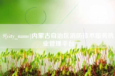 如东内蒙古自治区消防技术服务执业管理平台