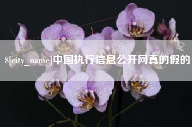 如东中国执行信息公开网真的假的