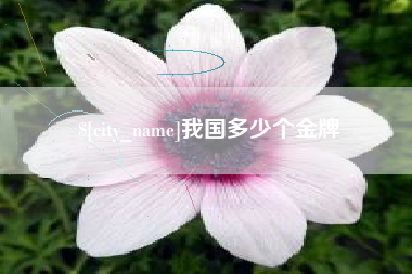 如东我国多少个金牌