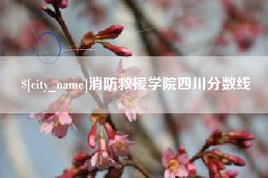如东消防救援学院四川分数线