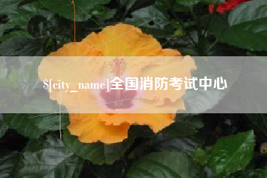 如东全国消防考试中心