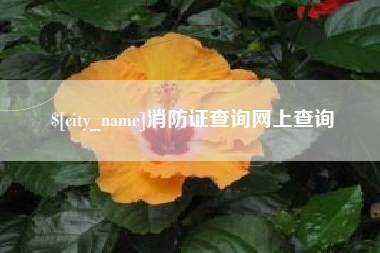 如东消防证查询网上查询