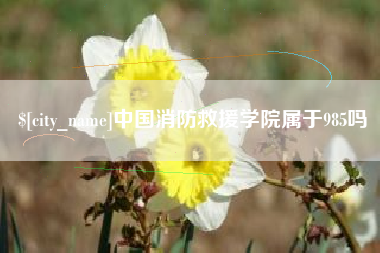 如东中国消防救援学院属于985吗