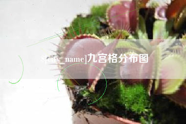 如东九宫格分布图