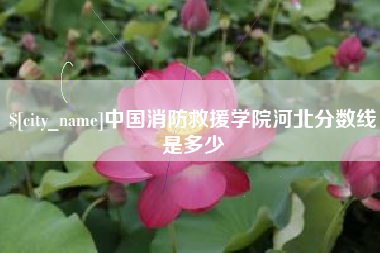如东中国消防救援学院河北分数线是多少