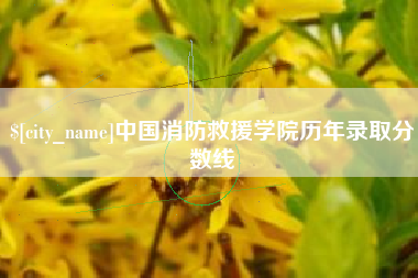 如东中国消防救援学院历年录取分数线