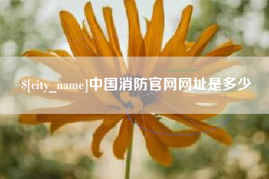 如东中国消防官网网址是多少