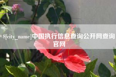 如东中国执行信息查询公开网查询官网
