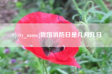 如东我国消防日是几月几日