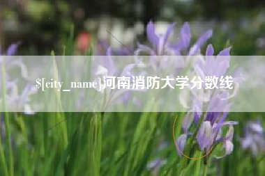 如东河南消防大学分数线