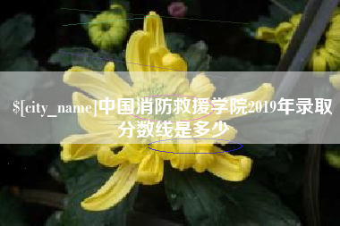 如东中国消防救援学院2019年录取分数线是多少