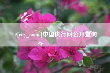 如东中国执行网公开查询
